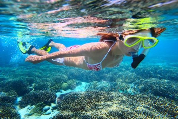 snorkeling & diving